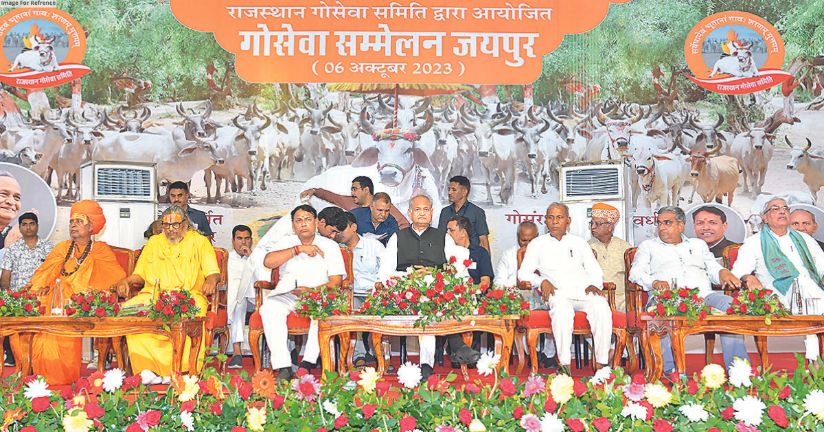 Bovines have always been important in our culture and society: CM Gehlot